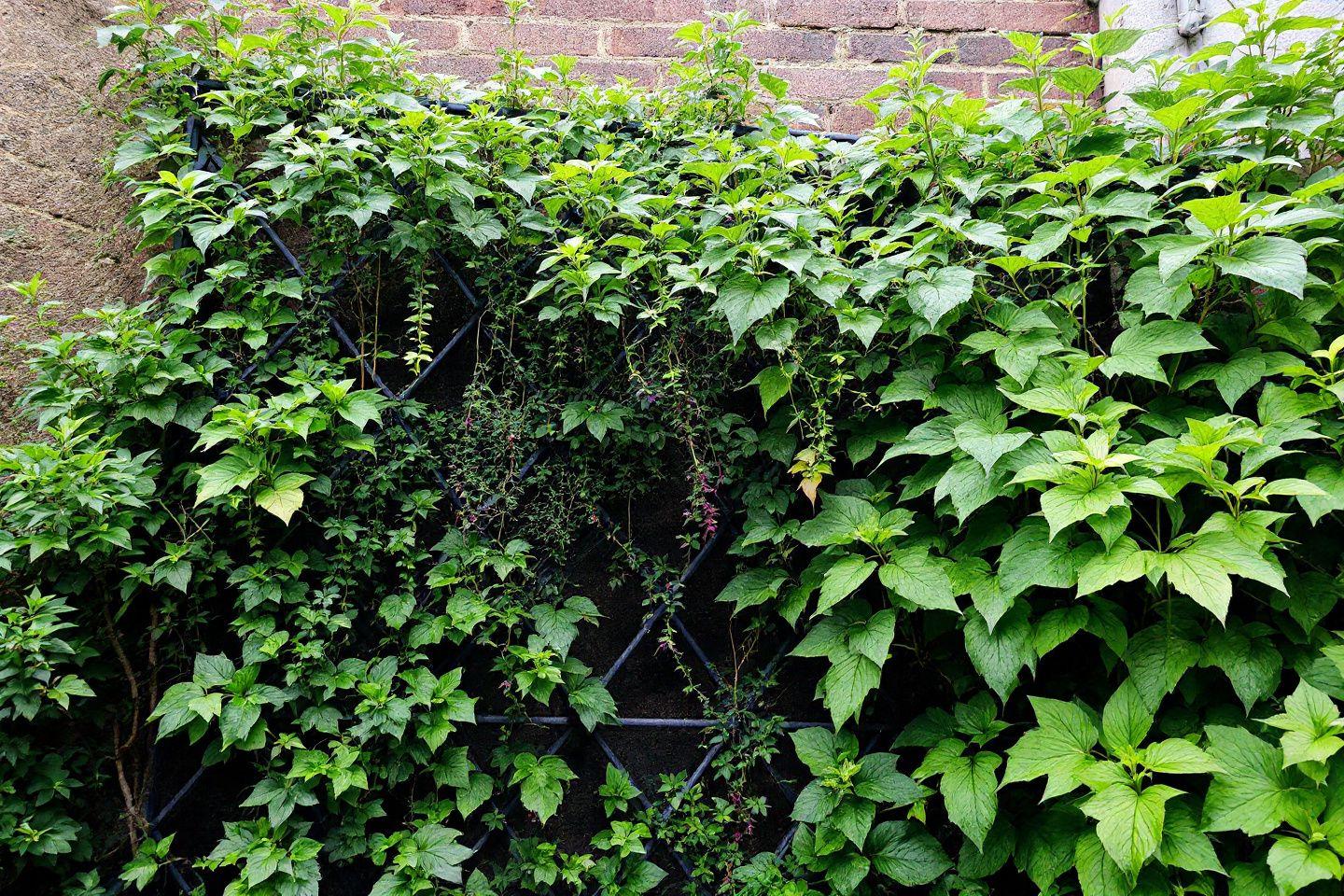 Aménager un balcon de 5 m²
